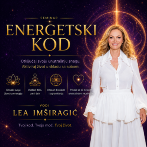 Seminar ENERGETSKI KOD
