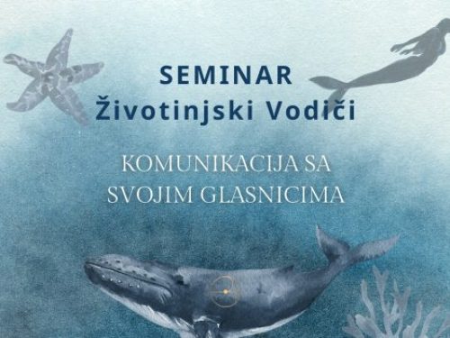 31-1-r0qhvjdzunkbkmhjzever06qdy4pyek35vk4wdlsx8