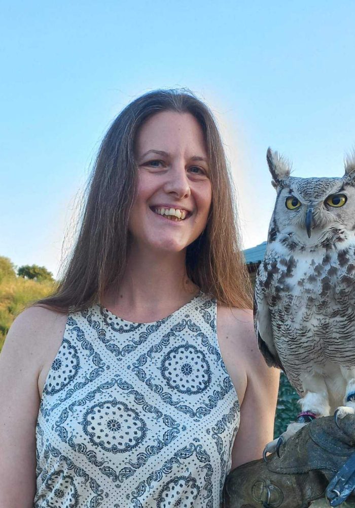 IMG-72e6ea67f3930a7c2c59e8cbf4c243c4-V